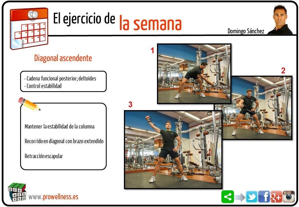 ejercicio semana 31