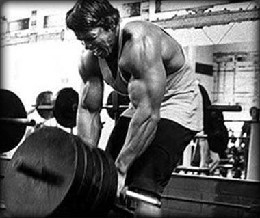 monsterback 380
