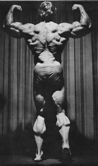 Arnold-Back-Bis