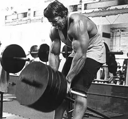 arnold disocia 035