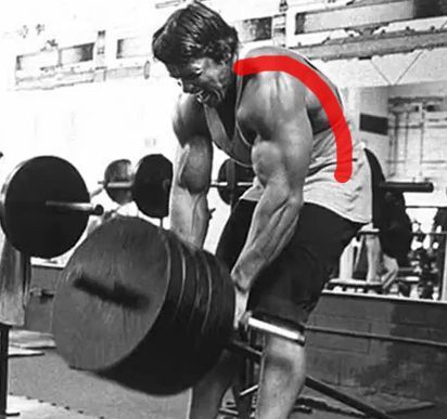 arnold disocia columna