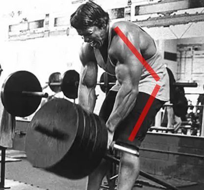 arnold disocia vertical