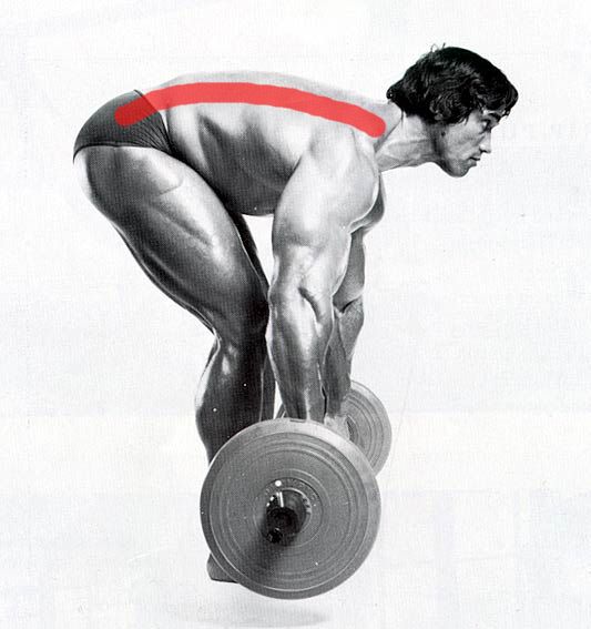 arnold peso muerto disoc