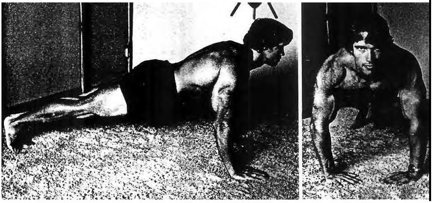 Arnold-Schwarzenegger-Push-Ups