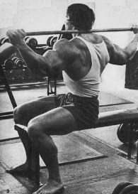 Arnold Abs Training
