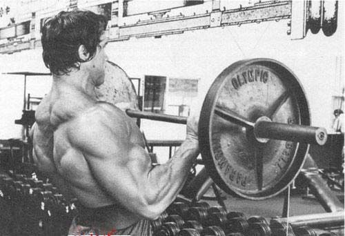 Arnold Arms Training 1