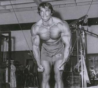 Arnold Schwarzenegger Chest Workout