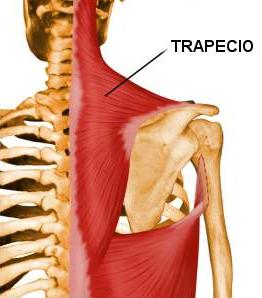 trapeciohm0