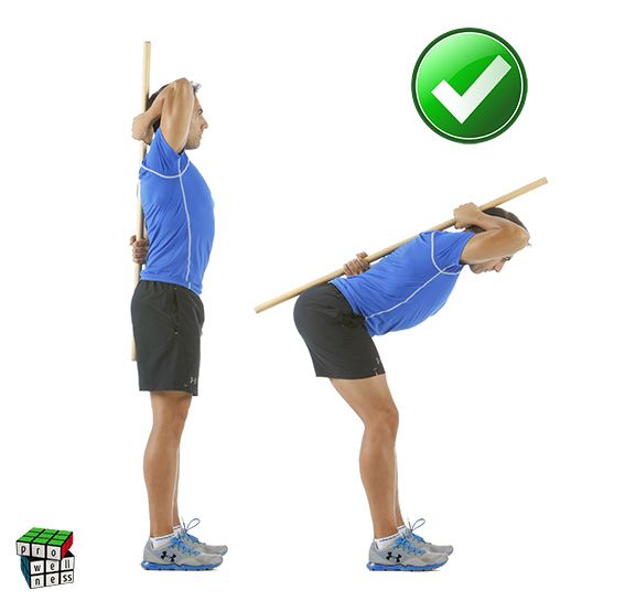 bisagra test-OK