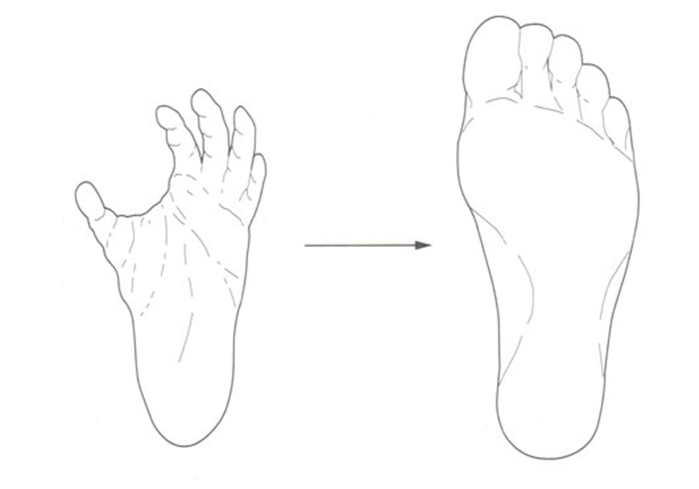 hand to foot