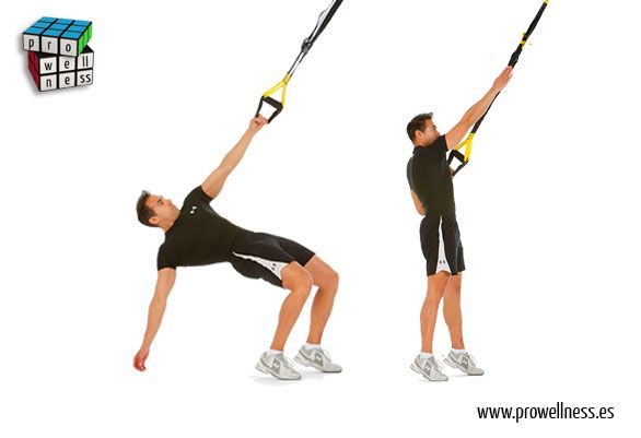 squat TRX 203