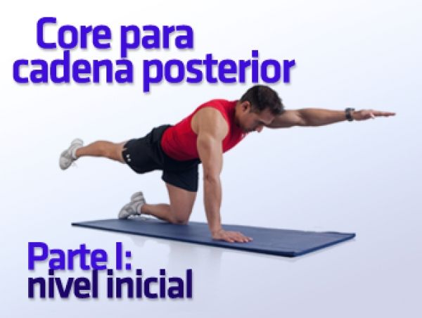 core posterior
