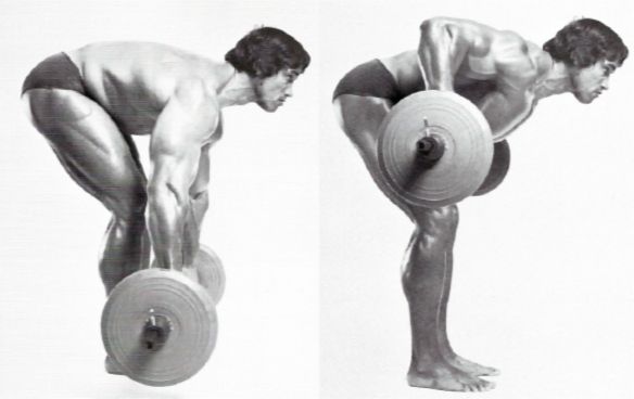 remo incorrecto arnold
