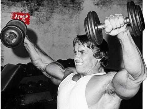 Arnold-dumbell