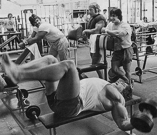 ArnoldChestFlyes