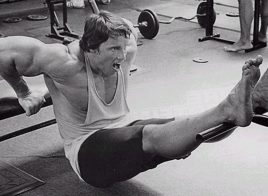 arnold-dips