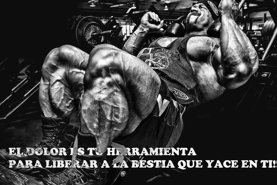 gimnasio total