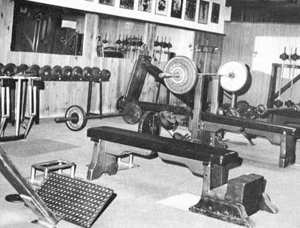 gym culturismo