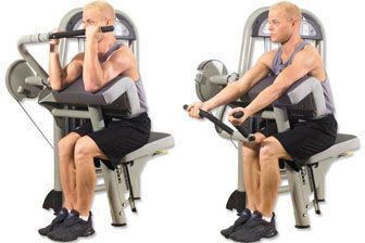 Bicep Machine Curl