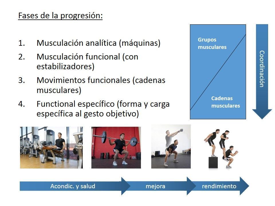 Fases fuerza funcional