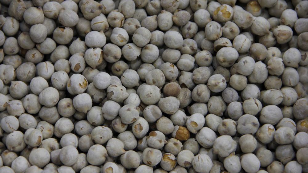 Garbanzos tostados, alimento estrella