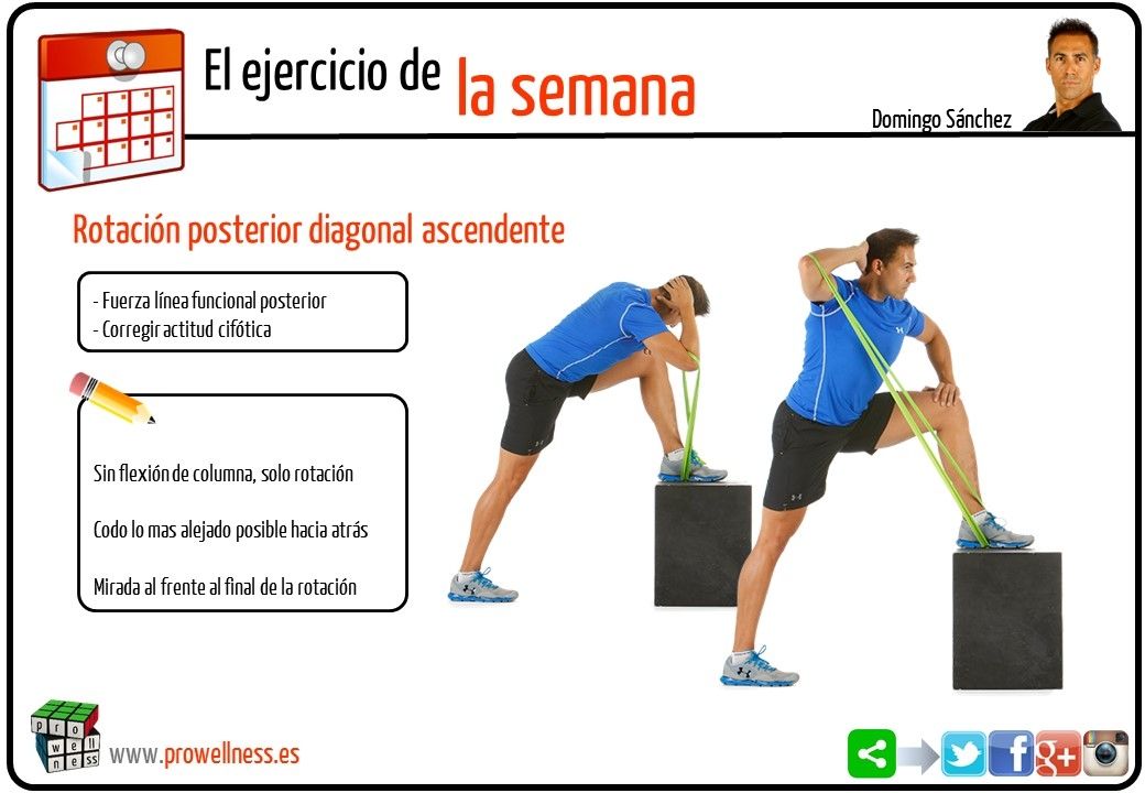 Esta semana; rotación posterior ascendente