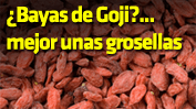 ¿Bayas de Goji?… mejor unas grosellas.