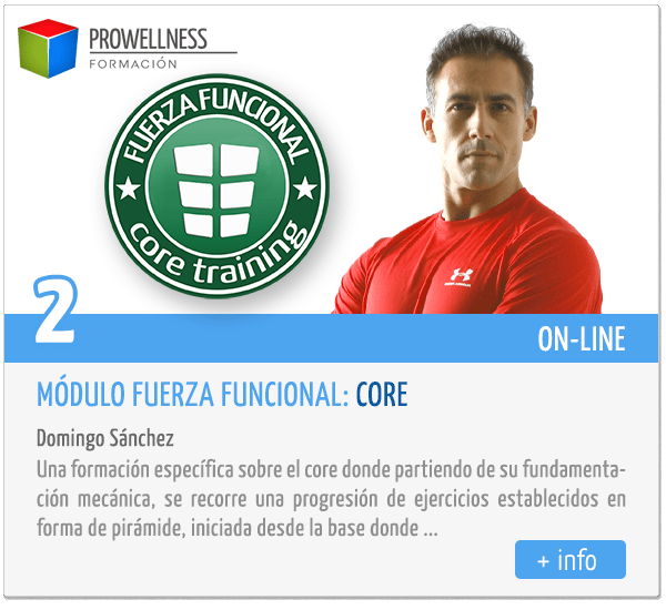 Módulo Fuerza Funcional: Core