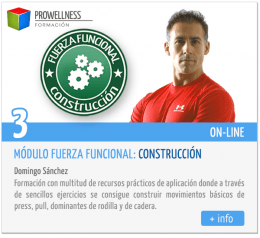 Módulo Fuerza Funcional: Construcción